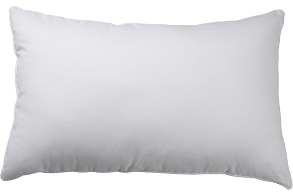 modern-luxurys-white-goose-down-pillow